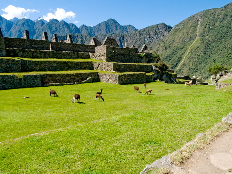 peru