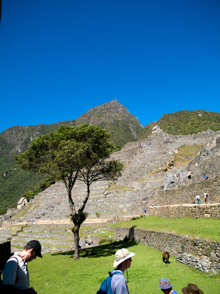 peru