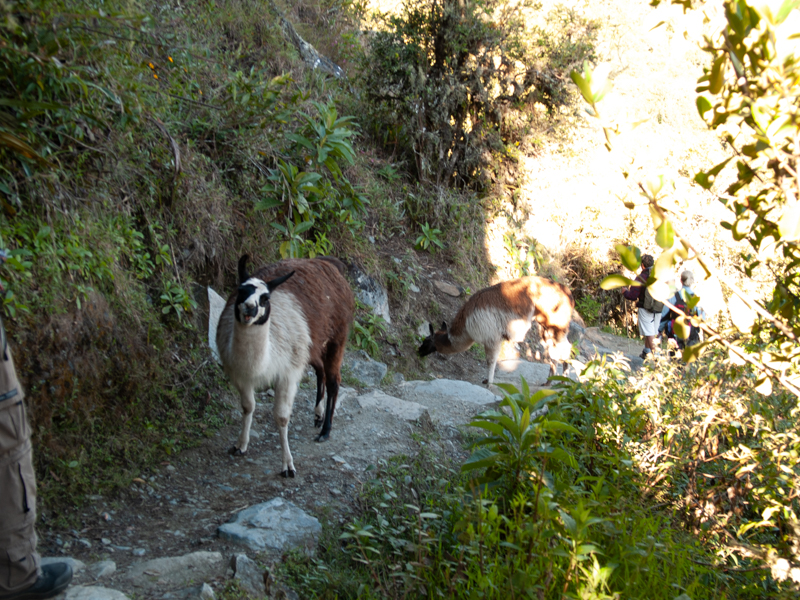 peru