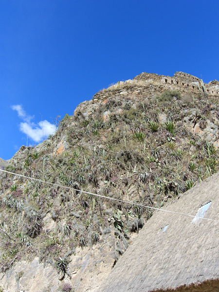 peru