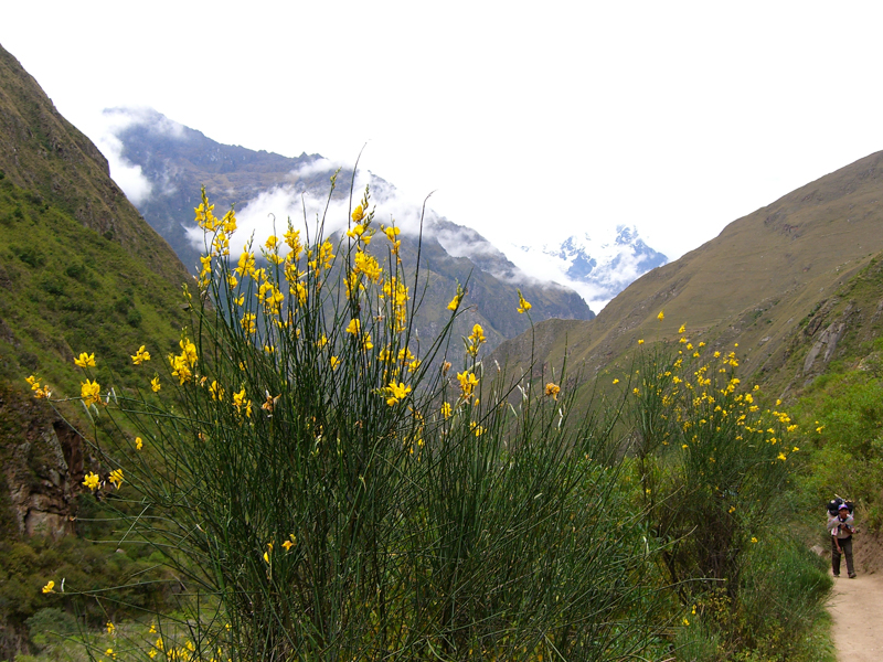 peru