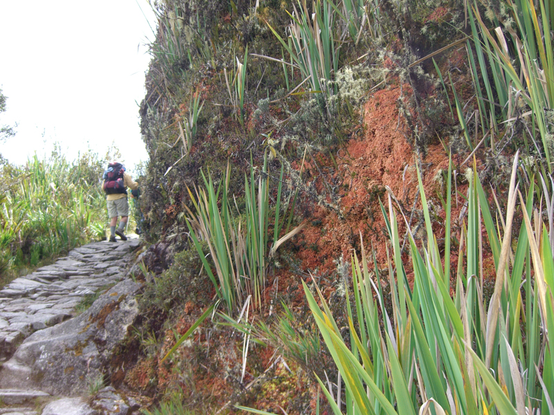 peru