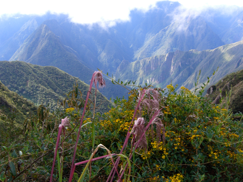 peru