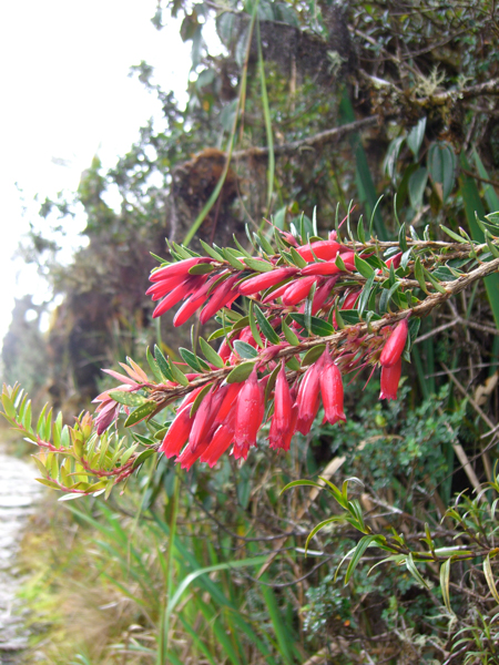 peru